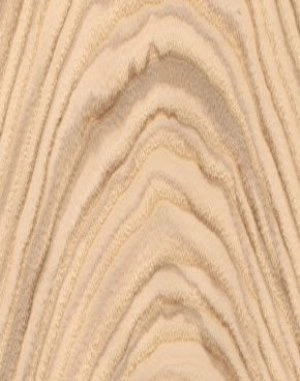 Ash Olive veneer